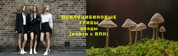ешки Вяземский