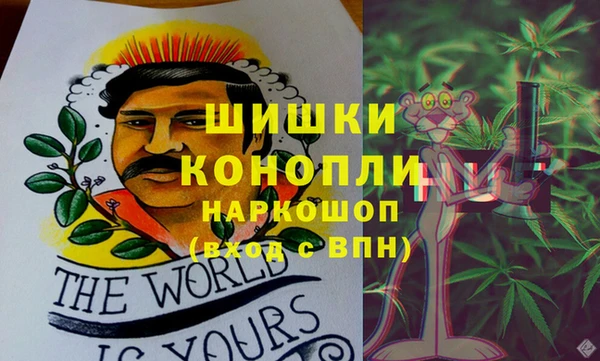 СК Вязьма