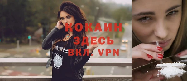 2c-b Горно-Алтайск