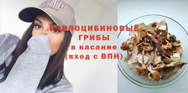 2c-b Горно-Алтайск