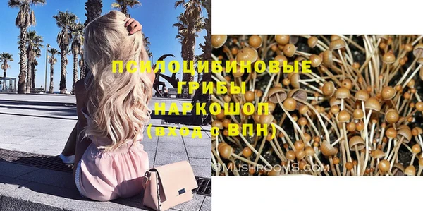 ешки Вяземский